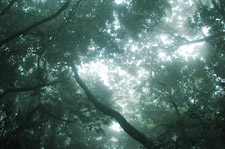 Monteverde Backpackers Costa Rica